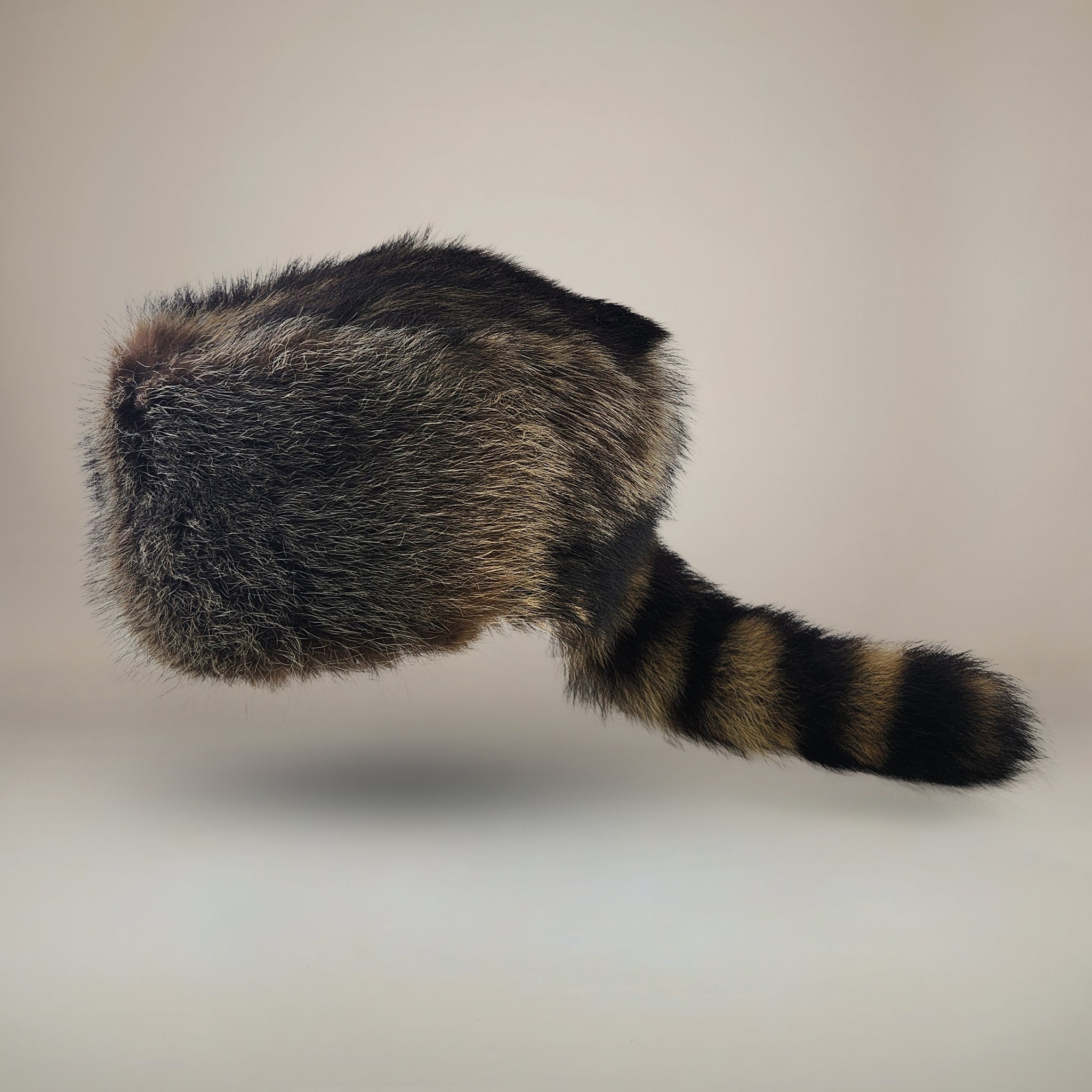 Raccoon Trapper Hat